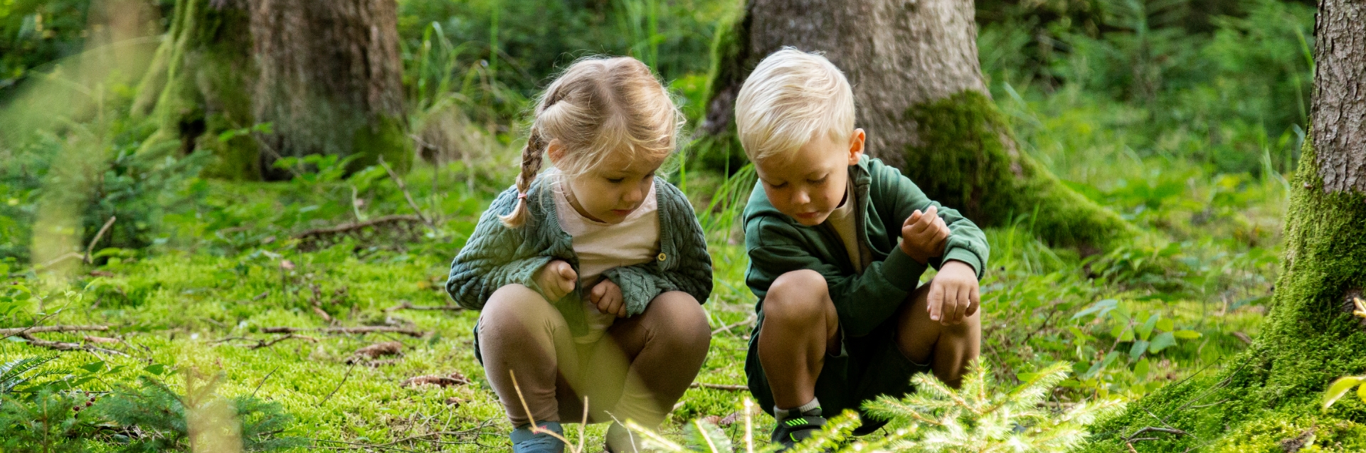 parallax-kinder-im-wald